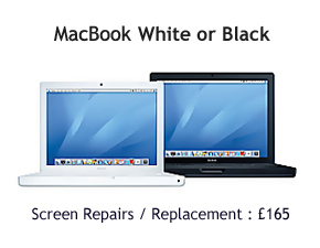 MacBook White or Black